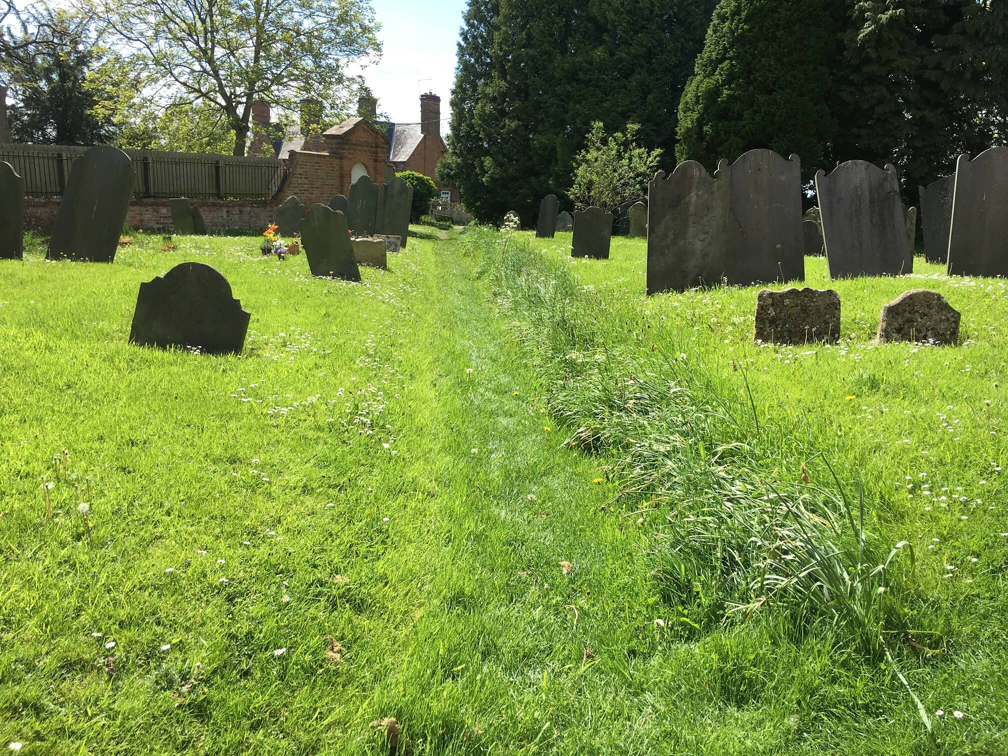 Grass pathway through the churchyard in Church Langton.